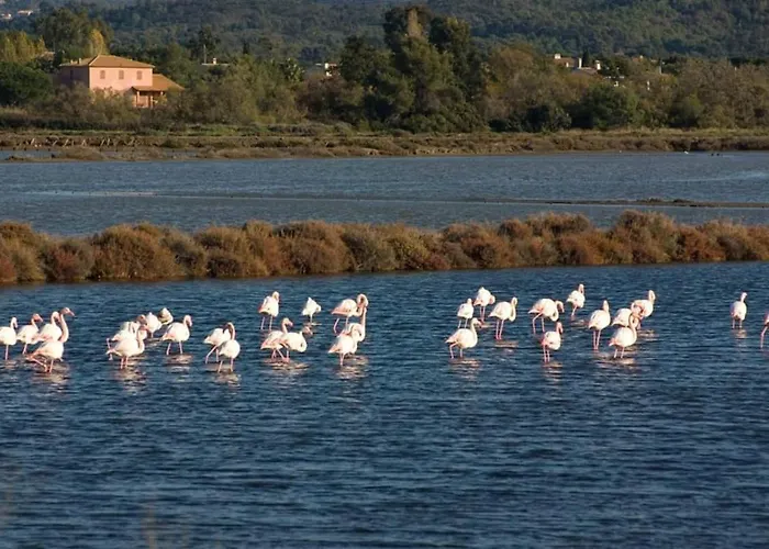 Апартаменти Atypique Ancien Hangar A Bateau