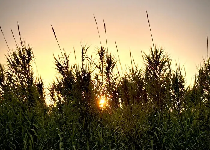 Atypique Ancien Hangar A Bateau
