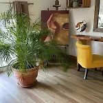 Apartment Atypique Ancien Hangar A Bateau Hyeres